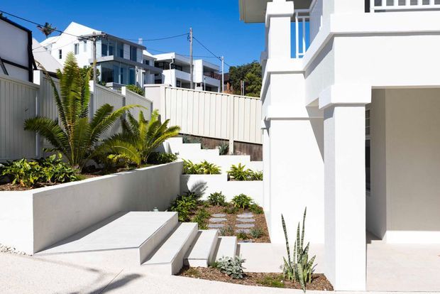 A bright contemporary residential exterior courtyard and entry area with white rendered geometric walls, stepped concrete paths and stairs, raised garden beds, and tropical planting. Modern multi-storey homes are visible beyond the boundary, with strong sunlight and a clear blue sky.