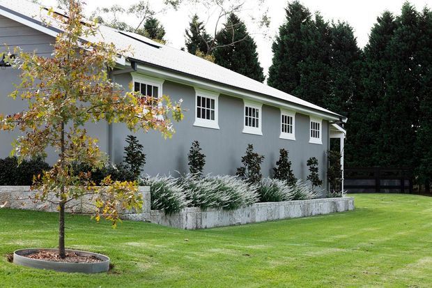Exterior view of a long, single-storey grey rendered building with a light pitched metal roof and evenly spaced white-framed multi-pane windows. A raised concrete garden bed with ornamental shrubs runs along the facade, with a manicured lawn, young tree, and tall evergreen screening behind.