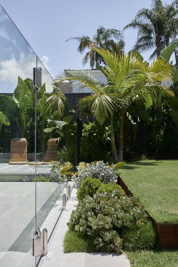 A bright, contemporary landscaped outdoor area beside a glass-edged patio or pool terrace. The scene features lush tropical palms and layered planting, a manicured lawn, sculptural succulents, pale concrete paving, and clear frameless glass panels with metal fittings. Reflections in the glass reveal woven outdoor lounge chairs and additional greenery.