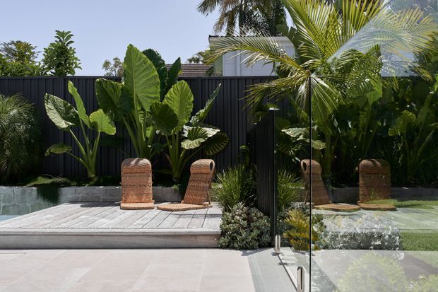 A tropical landscaped outdoor entertaining area with a small plunge pool beside a pale timber deck, two woven lounge chairs, lush broad-leaf and palm planting, and a dark vertical-panel privacy fence. Frameless glass fencing and a pale paved terrace occupy the foreground, creating a contemporary resort-like garden setting.