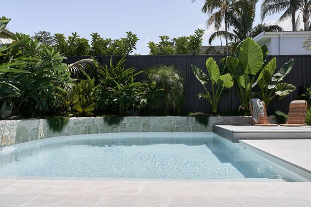 A bright tropical backyard pool area with a shallow pale-blue swimming pool, broad light stone or concrete pool surrounds, a dark privacy fence, lush layered planting, and a raised stone-clad garden retaining wall. A modern white building and outdoor seating are partially visible beyond the planting.