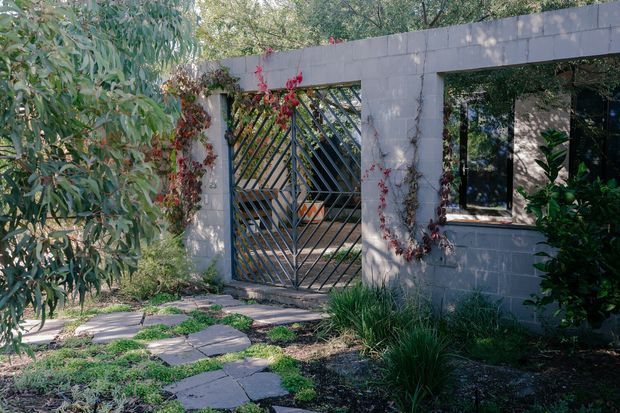 Exterior view of a low garden wall and entry facade constructed from exposed grey concrete block, with a black metal diagonal-bar gate and matching window framing. Climbing vines, ornamental grasses, leafy planting, and irregular stone pavers create a landscaped garden approach. The gate and window reveal a shaded interior beyond.