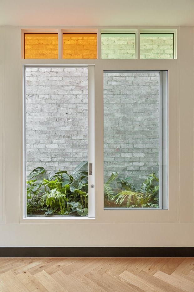 Interior view of a refined wall composition featuring two tall glazed openings with white-painted brick visible beyond and lush planting at their base. Four small clerestory-style windows above add warm amber and pale green light. The wall is painted a soft warm neutral, with dark skirting and a light timber herringbone floor.
