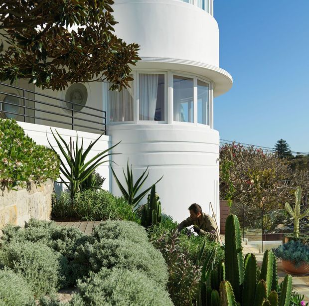 Exterior view of a distinctive white, rounded multi-level building with curved ribbon-like wall bands, wraparound glazing, and dark metal balcony railings. The structure is set within a landscaped garden featuring succulents, cacti, agave, and silvery shrubs, with a clear blue sky and distant coastal-looking surroundings.