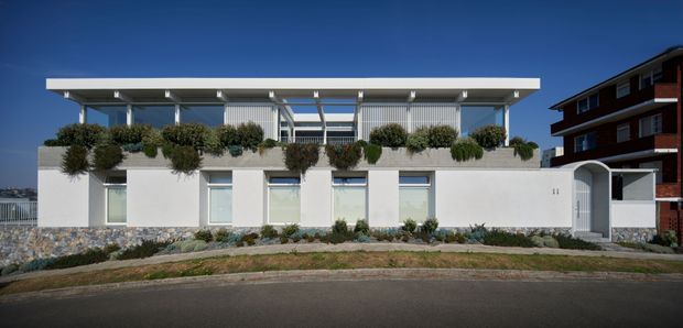 Front exterior view of a contemporary multi-unit residential building on a sloping urban site. The low-rise facade has white rendered walls, extensive horizontal glazing, a flat projecting roof canopy, vertical screening, landscaped rooftop or balcony planting, and a curved entry feature. A neighbouring apartment building is visible at right.