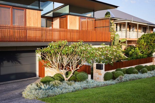 Street-facing view of a contemporary elevated residence with warm timber screening and cladding, extensive glazing, a broad flat roof, and a dark garage door. The landscaped front garden includes layered low planting, clipped shrubs, a frangipani tree, and a paved driveway. A traditional raised timber home is visible in the background.