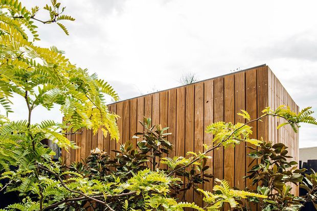 Exterior architectural view of a simple box-like building clad in vertical warm-toned timber boards, partially screened by dense leafy planting. The image emphasizes the timber facade and landscaped foreground under an overcast sky.