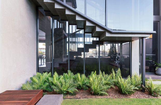 Exterior view of a contemporary multi-level residence featuring extensive floor-to-ceiling glazing, dark structural framing, cantilevered concrete stair flights, and a landscaped garden bed with cycads. A timber deck and stepping path lead toward the glazed entrance or courtyard area.