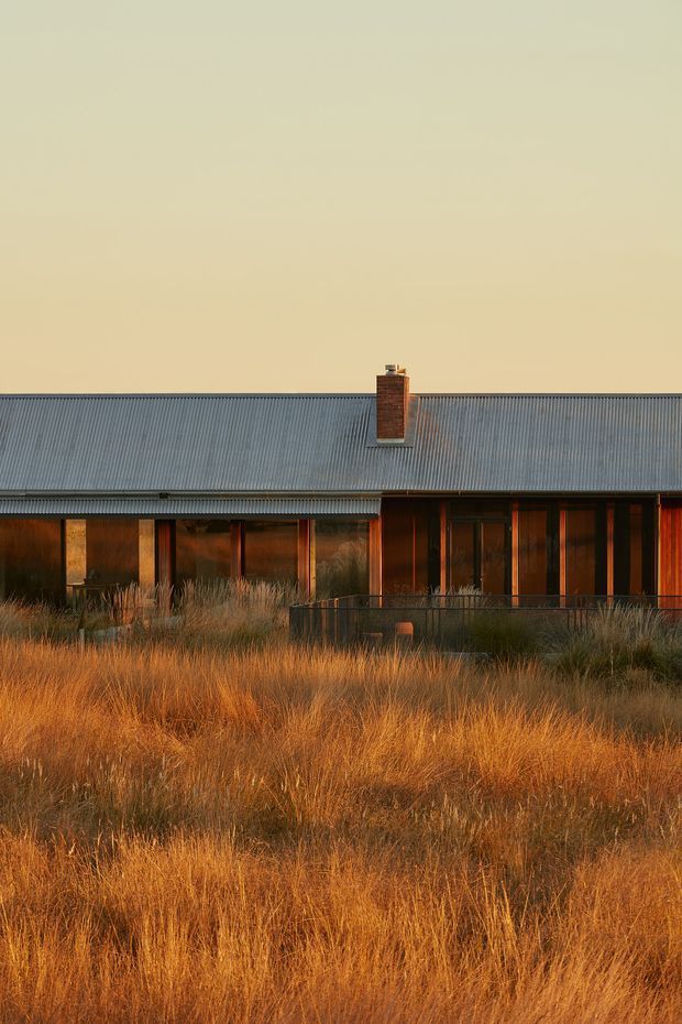 Single-storey residential building viewed from the landscaped exterior, with a long low corrugated metal pitched roof, central brick chimney, timber-framed glazing and dark cladding. The foreground is dominated by tall golden grasses in warm late-day light, creating a quiet rural or natural setting.