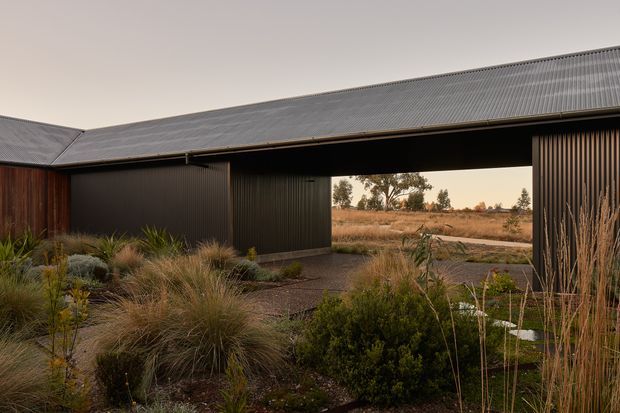A low, contemporary pavilion-like building with dark corrugated metal roofing and vertically ribbed dark metal wall cladding, arranged around a landscaped courtyard or covered passage. Warm timber cladding is visible at the left, while native grasses, shrubs, gravel and stepping stones form the foreground landscape. The open central bay frames a dry rural field and scattered trees beyond.
