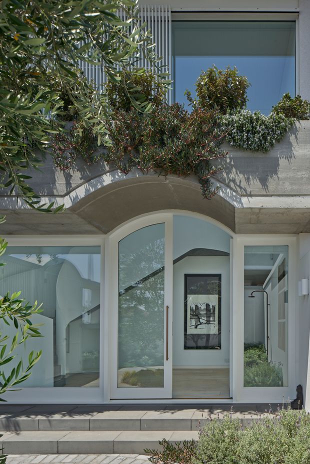 A contemporary residential entrance viewed from outside, with white-framed glazed double doors, tall sidelights, concrete steps, and a curved concrete canopy or balcony above. Dense planter vegetation softens the facade, while the glazing reveals a bright interior hallway and artwork beyond.