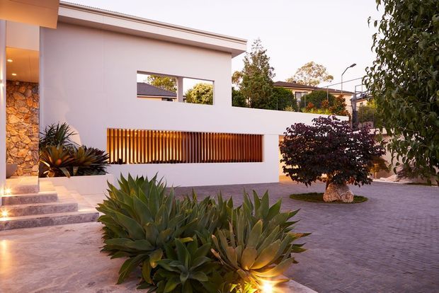 A contemporary residential exterior at dusk, featuring smooth white rendered walls, a shallow low-pitched roof, a long horizontal opening screened with warm timber battens, and a stone-clad entry wall. Broad steps lead into a landscaped courtyard with sculptural agave plants, a pruned ornamental tree, and grey interlocking paving.
