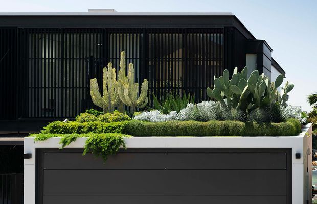 Front exterior view of a contemporary dark-clad residence with a flat roof and a large screened upper-level facade. A layered drought-tolerant planting bed with sculptural cacti and succulents sits above a dark garage door and white rendered wall.