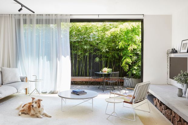 Bright contemporary living room opening onto a lush enclosed garden courtyard. The room features sheer floor-to-ceiling curtains, white walls, pale flooring, a low round coffee table, light upholstered seating, a wall-mounted television, and a minimalist black track light. A small dining setting is visible on the outdoor terrace, with dense bamboo planting beyond.