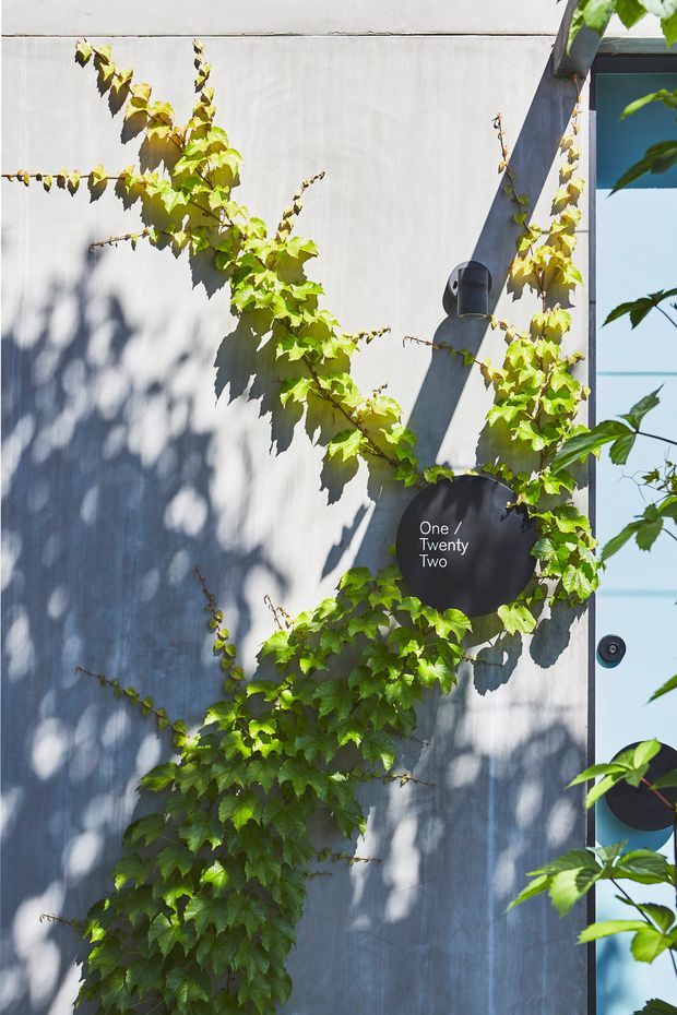 Close-up exterior detail of a contemporary entry facade, featuring a smooth light-grey wall, dark metal structural element, round black house-number plaque reading “One / Twenty Two,” and climbing green vine. A glazed door or window is visible at the right edge, with strong sunlight casting foliage shadows across the wall.