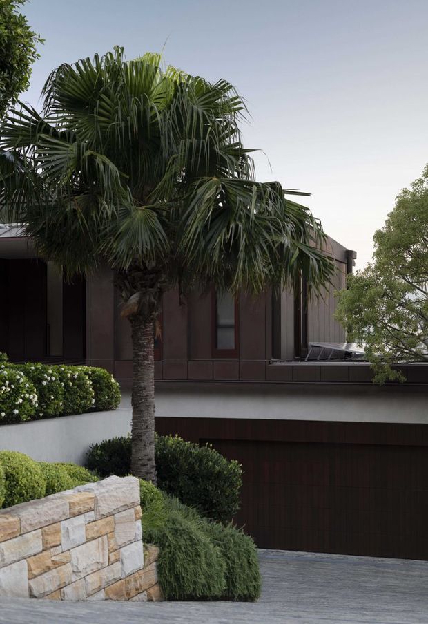 A landscaped residential exterior featuring a modern dark-clad upper structure above a garage, with a tall palm tree, clipped hedges, flowering shrubs, ornamental grasses, stone retaining wall and a paved driveway. The facade has dark vertical cladding, narrow windows and a broad light-coloured horizontal band.