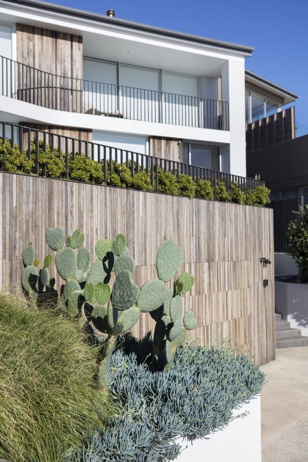 Bright exterior view of a contemporary multi-level residence with clean white rendered forms, extensive black metal balustrades, timber-clad privacy walls, and recessed balconies. Drought-tolerant landscaping with cacti and succulents fills the foreground, with stairs leading toward the entrance at right.