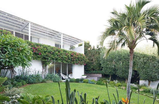 A bright contemporary two-storey residential exterior set within a lush landscaped garden. The white rendered building has extensive glazing, a slim flat or low-pitched roof with a covered upper-level terrace, and a dense green climbing-plant facade. A manicured lawn, palm tree, hedges and ornamental planting surround the home.