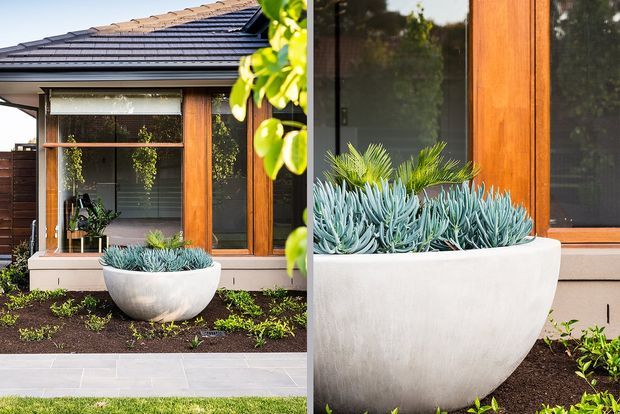Exterior close-up of a contemporary residential facade with warm timber-framed glazing, dark tiled pitched roof, pale rendered or masonry base, and a large white curved planter filled with succulents. The landscaped front garden and paving are visible, with the composition focusing on the building exterior and entry frontage.