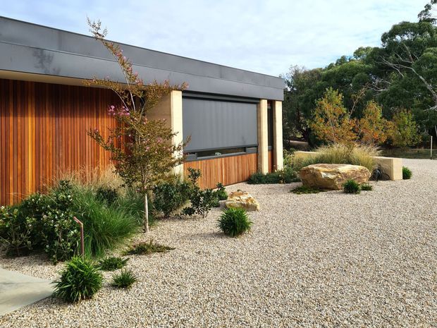 Single-storey contemporary building exterior with a low, flat roof, dark grey rendered fascia, vertical timber cladding, and large screened glazing. The building is set within a landscaped gravel courtyard featuring ornamental grasses, shrubs, and large natural stone boulders.