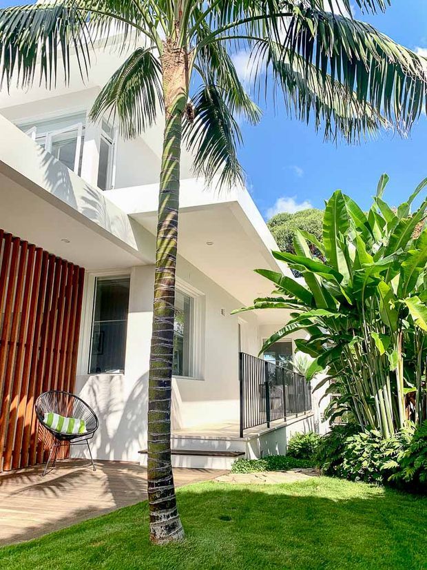 Bright exterior view of a modern white two-storey home set within a lush tropical garden. The facade features large glazing, clean geometric roof and balcony forms, a timber slatted feature wall, black metal balustrades, and a timber deck. A tall palm and banana plants dominate the foreground, creating a distinctly tropical setting.