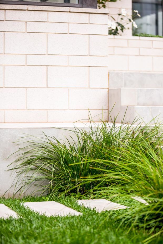 Close-up exterior view of a contemporary residential facade with pale cream brickwork, grey stone or concrete base detailing, dark-framed windows, and layered ornamental grasses in a landscaped garden with pale stepping stones.