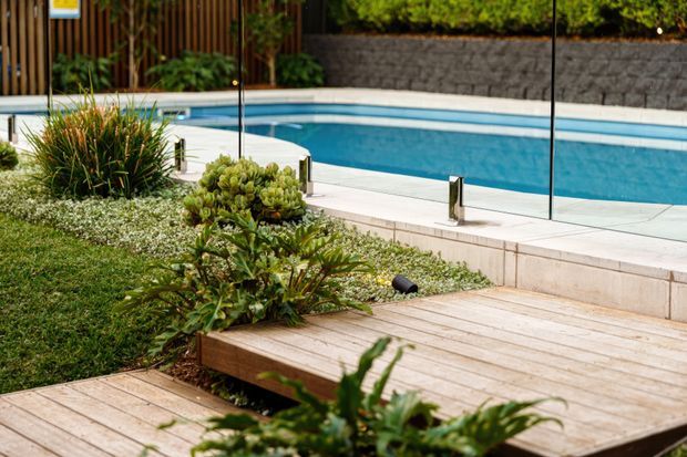 A landscaped residential pool area viewed from a timber deck. The image shows a bright blue swimming pool enclosed by clear glass balustrade panels, pale paved coping and steps, textured stone retaining walls, vertical timber screening, and naturalistic planting with grasses and succulents.