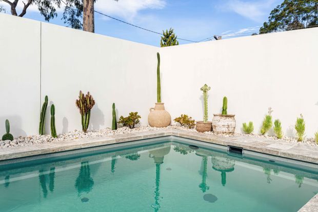 A bright landscaped courtyard pool area with a turquoise swimming pool enclosed by tall white rendered walls. The pool perimeter is lined with pale gravel, assorted sculptural cacti and succulents, and decorative planters. Trees and blue sky are visible above the walls, creating a clean, minimalist desert-inspired outdoor setting.