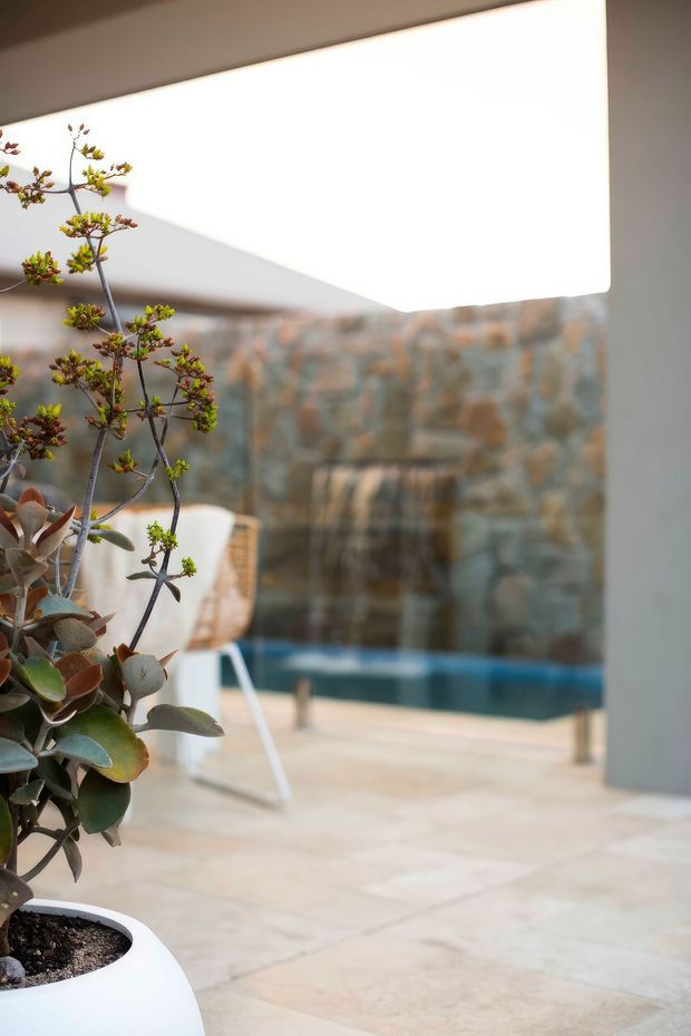 A softly lit contemporary courtyard with a large potted succulent in the foreground, pale stone paving, a blue swimming pool, and a textured natural-stone wall with a small waterfall feature. A sculptural white canopy or overhang creates strong geometric shadows across the space.