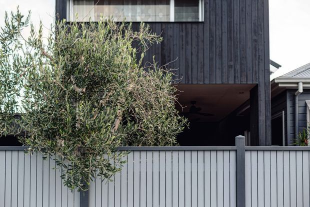 Exterior view of a contemporary dark-clad multi-storey home, partially screened by an olive tree and a light grey vertical-slat fence. The facade features vertical timber-style cladding, a projecting upper level with a large window, and a recessed covered area or garage-like opening at ground level.