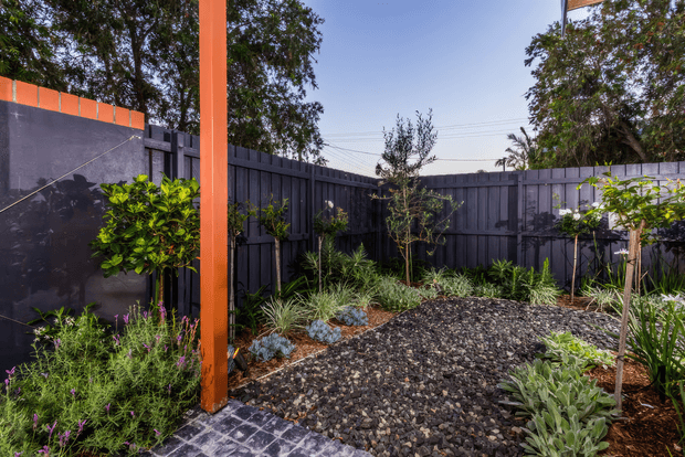 A landscaped courtyard garden enclosed by dark vertical timber fencing, with a bright orange structural post, gravel-covered ground, stepping pavers, young trees, ornamental grasses, shrubs, and layered planting. The space appears to be a compact outdoor garden or courtyard with a contemporary, structured planting design.