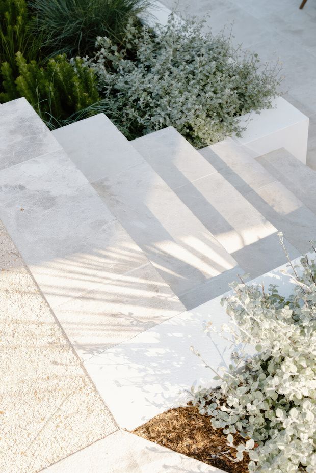 A landscaped outdoor garden path with broad pale stone or concrete steps descending through dense ornamental planting. The steps and adjacent paving are light grey-white with subtle textured finishes, while silvery foliage and grasses soften the hardscape. Strong sunlight casts plant shadows across the stairs, creating a calm, refined contemporary landscape composition.