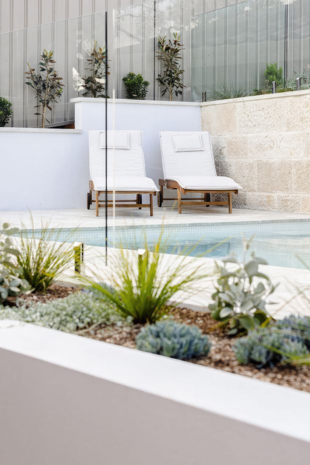 A refined outdoor courtyard pool area viewed through glazing, featuring two white sling lounge chairs on a pale paved deck, a narrow tiled swimming pool, raised white rendered planters, sculptural drought-tolerant planting, and a light textured stone retaining wall. Tall glazed panels and vertical architectural lines create a bright, contemporary setting.