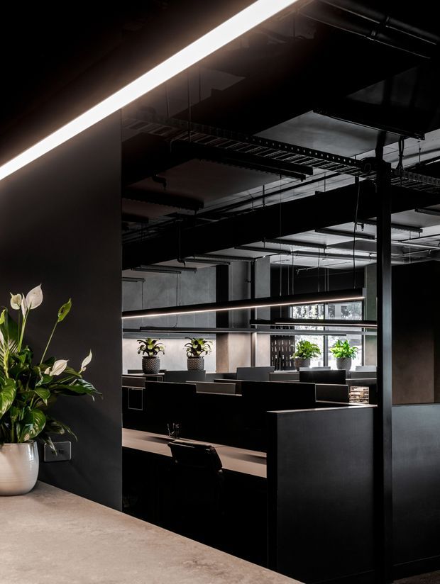 Dark, sophisticated commercial interior with an open-plan workstation area framed by black partitions and cabinetry. The space features exposed industrial ceiling services, suspended linear LED lighting, concrete-look surfaces, extensive glazing, and potted plants adding greenery. The image is viewed from a darker foreground area toward the central workspace.