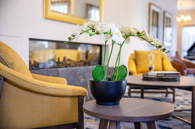 A refined living room with a black potted orchid displayed on a round dark-wood side table in the foreground. Mustard-yellow upholstered armchairs, a low coffee table, framed artwork, a large black-framed fireplace or television feature, and a wall mirror create a warm, coordinated interior. The room has a polished, contemporary-classic feel with layered furnishings and soft neutral walls.