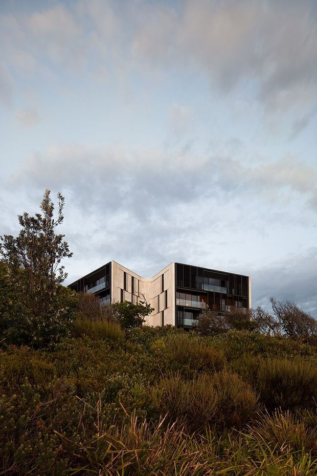 A contemporary multi-storey building viewed from a vegetated hillside. The structure has a sculptural curved central facade, pale vertical cladding, dark recessed glazing, and strong horizontal floor lines. Dense native-looking shrubs and grasses occupy the foreground beneath an overcast sky.