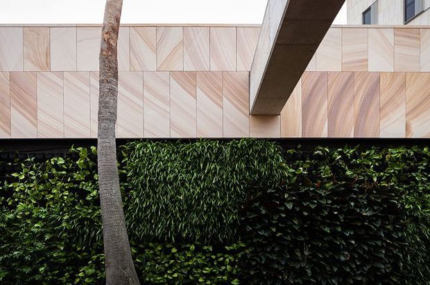 Close-up exterior architectural view of a contemporary building, featuring a pale timber-clad upper facade with varied diagonal grain patterns, a projecting dark structural beam, and a dense manicured green hedge in the foreground with a palm trunk. The image emphasizes facade materials, landscaping, and clean geometric composition.
