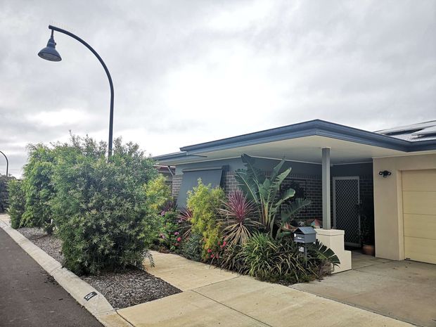Street-level exterior view of a single-storey contemporary suburban home with a low-pitched flat-style roof, broad covered entry, attached garage, dark masonry feature wall, and lush tropical planting along the concrete footpath. The facade combines pale rendered walls, dark brickwork, and a light garage door beneath an overcast sky.