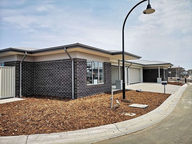 Single-storey contemporary residential development viewed from the street, with low-pitched metal roofing, cream rendered walls, contrasting dark brick feature walls, attached garages, concrete driveways and newly landscaped mulch beds. Curved black street lighting and repeated neighbouring homes indicate a planned suburban housing estate.