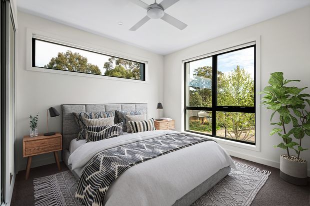 Bright contemporary bedroom with a large upholstered bed, layered grey and black patterned bedding, timber bedside tables, a geometric area rug, white walls, black-framed windows, a ceiling fan, and a tall indoor plant. The room has generous natural light and views of leafy surroundings.