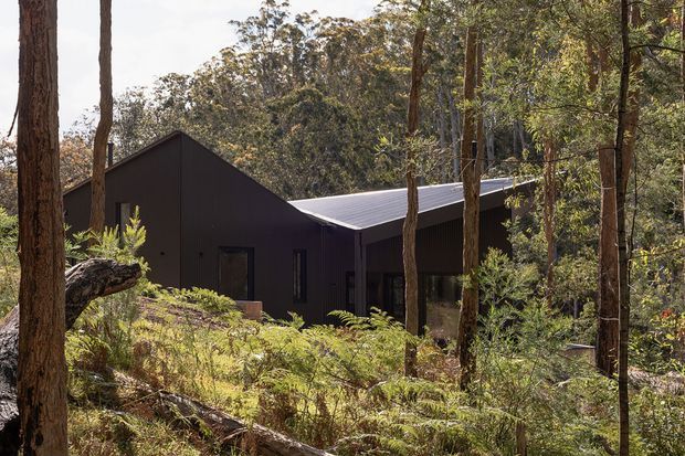 A dark, simple gable-roofed house nestled among dense eucalyptus woodland, viewed externally through tall trees and native undergrowth. The building has a minimalist dark metal-clad facade, a pitched roof, and restrained rectangular openings that blend into the forested setting.