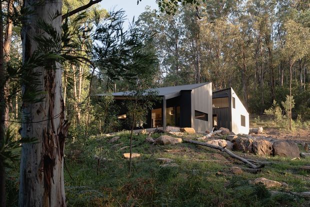 A compact contemporary dwelling set within a dense eucalyptus woodland. The building has a simple dark-clad rectangular volume with a low-pitched roof, large glazed openings, and a lighter attached or adjacent gabled volume. Natural rocks, fallen timber, and native vegetation surround the structure, creating a secluded bush setting.