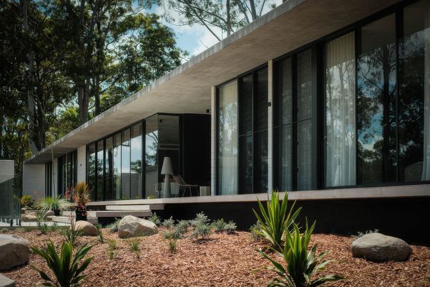 Single-storey modern residence viewed from the landscaped front garden, with a long flat roof, extensive floor-to-ceiling dark-framed glazing, sheer curtains, and a deep projecting concrete roof slab. The facade opens toward a dry, landscaped garden with mulch, boulders, grasses, and architectural plants, while interior furnishings are visible through the windows.