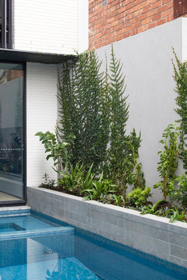 A compact courtyard pool beside a contemporary building. The narrow rectangular pool has blue mosaic-tile lining and a raised tiled edge, bordered by a grey masonry planter filled with dense greenery. White horizontal cladding, exposed red brick, smooth rendered walls, and dark-framed glazing form the surrounding architecture.