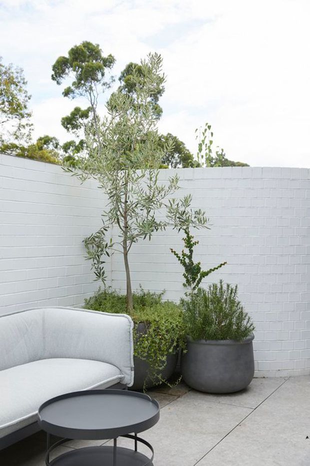 A calm outdoor courtyard or terrace corner with a pale upholstered lounge chair, a low dark round side table, large dark planters containing olive-like and other green plants, and a white-painted brick privacy wall. Large pale concrete or stone paving slabs create a clean, contemporary setting.
