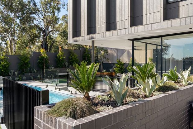 Contemporary multi-level residential exterior with a raised box-like upper storey clad in grey panels above a glazed ground-floor living area. The landscaped courtyard includes a swimming pool, dark privacy fencing, planted raised brick planters, ornamental grasses, palms and sculptural succulents. Strong indoor-outdoor connection is visible through large glass doors and windows.