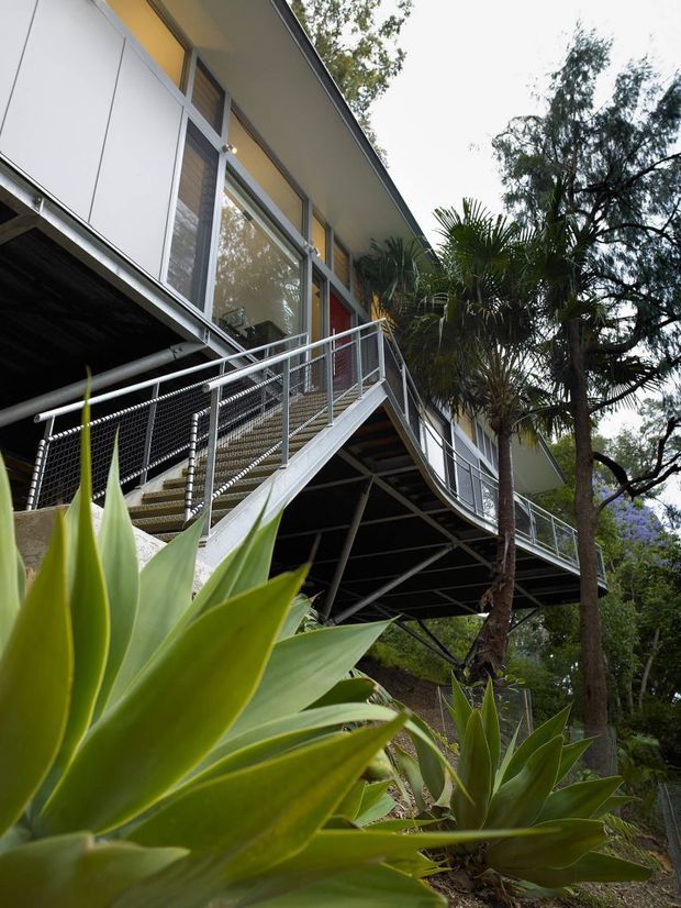 A low-angle exterior view of a modern elevated house set among mature vegetation. The building has light-coloured panel cladding, extensive glazed openings, a shallow projecting roof, and a raised steel structural frame. An external stair and walkway with metal mesh balustrades connect to the upper-level living space, with tropical and native planting in the foreground.
