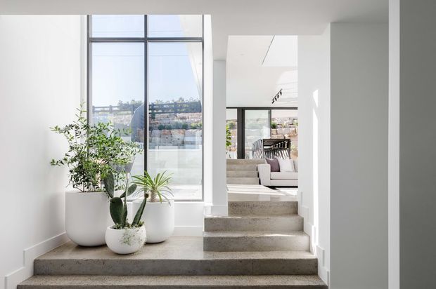 Bright minimalist interior view of a split-level living area, with broad polished concrete steps leading toward a sitting room and dining area. A tall black-framed window provides abundant daylight and views beyond, while white walls, a skylight, neutral upholstery, and large potted plants create an airy contemporary setting.