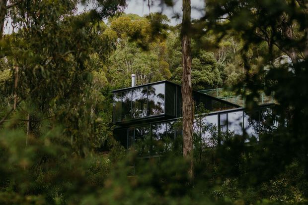 A dark, contemporary multi-level glass-and-black-clad house partially concealed within dense native woodland. The building has extensive floor-to-ceiling glazing, a strong horizontal form, flat rooflines, and an elevated appearance integrated into the leafy site.