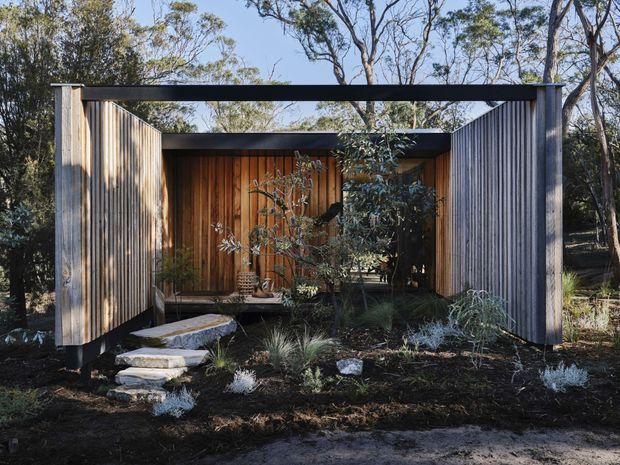 A compact contemporary pavilion or dwelling set within a native woodland landscape. The low, rectilinear structure has a dark flat roof, vertical timber-clad side walls, and a recessed glazed and timber-lined entry courtyard. Stepping stones lead through a landscaped garden with grasses and low planting, while mature eucalyptus-like trees surround the building.
